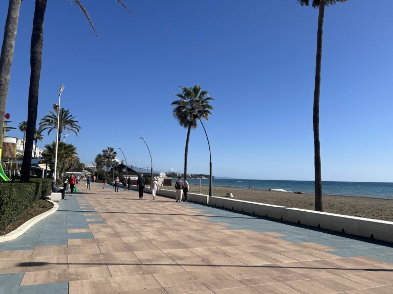 The seafront promenade in Estepona, with palm trees and the beach